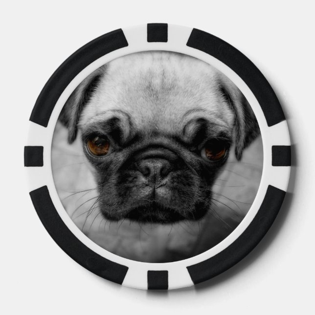 Juego De Fichas De Póquer Pug Pup (Anverso)
