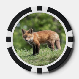 Juego De Fichas De Póquer Red Fox Kit