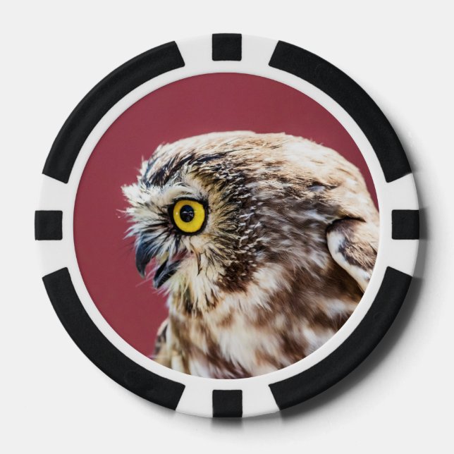 Juego De Fichas De Póquer Retrato de lechuza blanca del norte (Anverso)