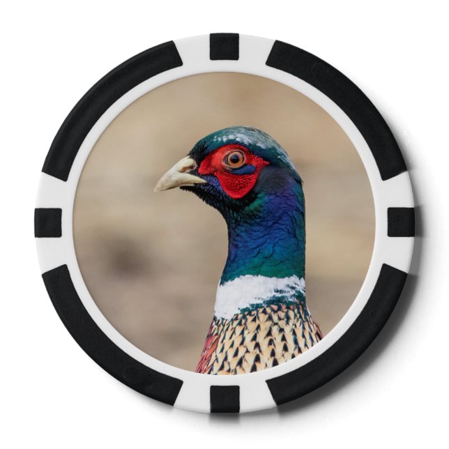 Juego De Fichas De Póquer Retrato de un faisán (Anverso)