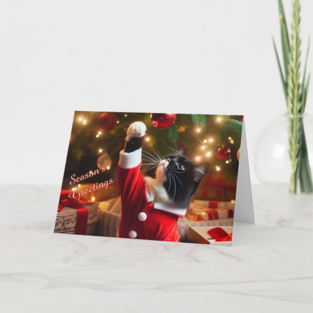 Juego de gato de Tuxedo con bolas de Navidad en un (Anverso)