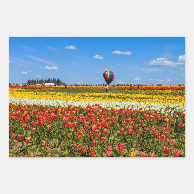 Juego de hojas de papel de ajuste de tulipanes de  (Anverso)
