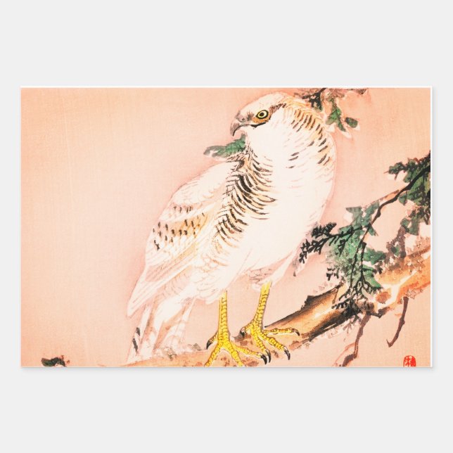 Juego de hojas de papel de ajuste FALCOLN JAPONÉS (Anverso)