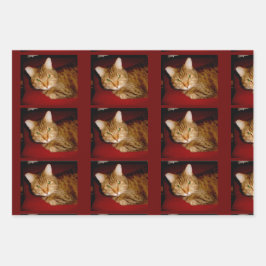 Juego de hojas de papel para envolver a Lucy Kitty