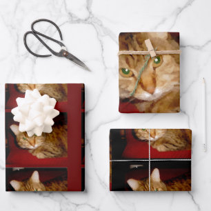 Juego de hojas de papel para envolver a Lucy Kitty