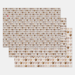 Juego de hojas planas de papel de ajuste de 3