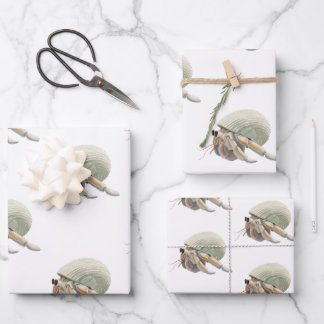 Juego de hojas planas de papel de ajuste de 3