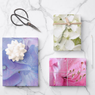 Juego de hojas planas de papel de regalo Elegantes