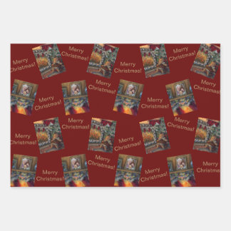 Juego de hojas planas de papel envuelto de 3