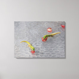 Juego de lienzos de dos piezas para el cóctel Geck