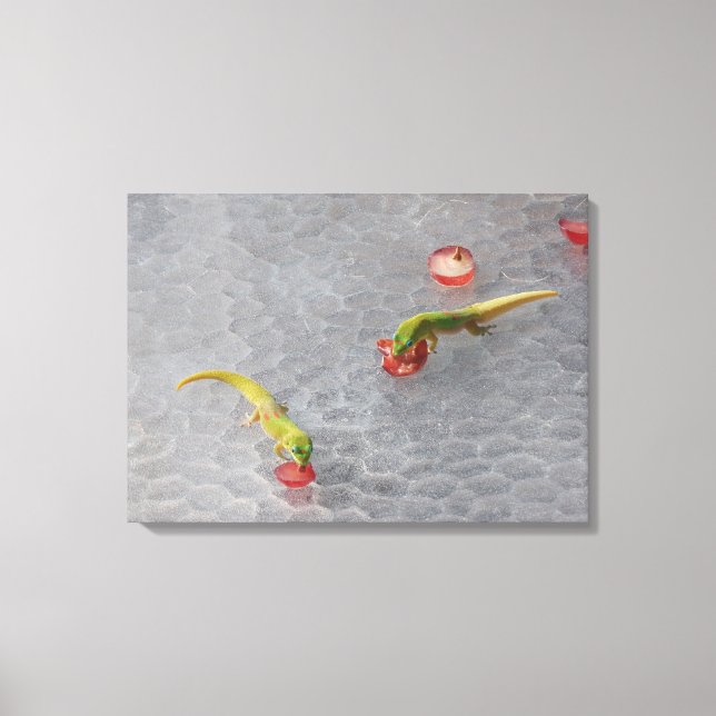 Juego de lienzos de dos piezas para el cóctel Geck (Anverso)