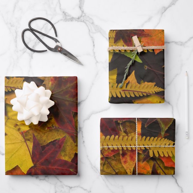 Juego de papel de ajuste: hojas de otoño (Anverso)