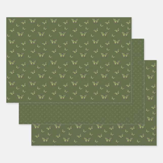 Juego de Papel de envolvimiento de cola de cerda c (Set)