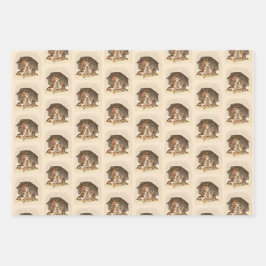 Juego de papel de envolvimiento de gatos de invier