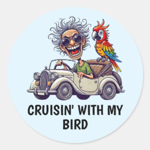 Juego de Pegatinas para conducir