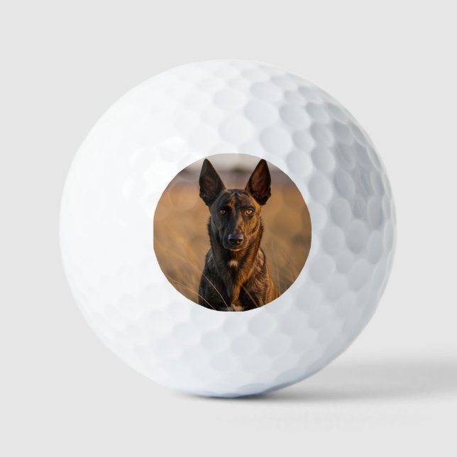 Juego de pelota de golf personalizado (Anverso)