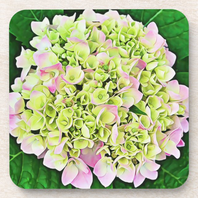 Juego de Posavasos con Arte de Flor de Hortensia B (Frente)