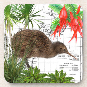 Juego de Posavasos de Aves Nativas de Nueva Zeland