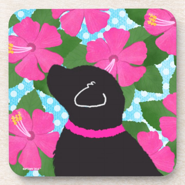 Juego de posavasos de perro negro de la isla de Hi (Frente)
