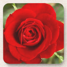 Juego de posavasos de rosa roja