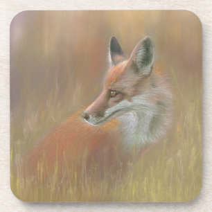 Juego de posavasos de vida silvestre Fox