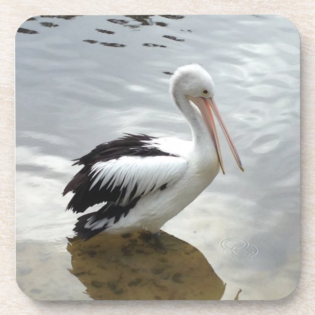 Juego de Posavasos Pretty Pelican (Frente)