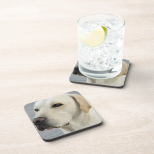 Juego de seis posavasos de Labrador Amarillo