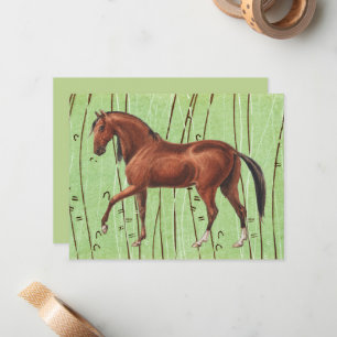 Juego de Tarjetas con Arte de Caballo Bay Ilustrad
