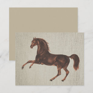 Juego de Tarjetas de Caballo Castaño Ilustrado Vin