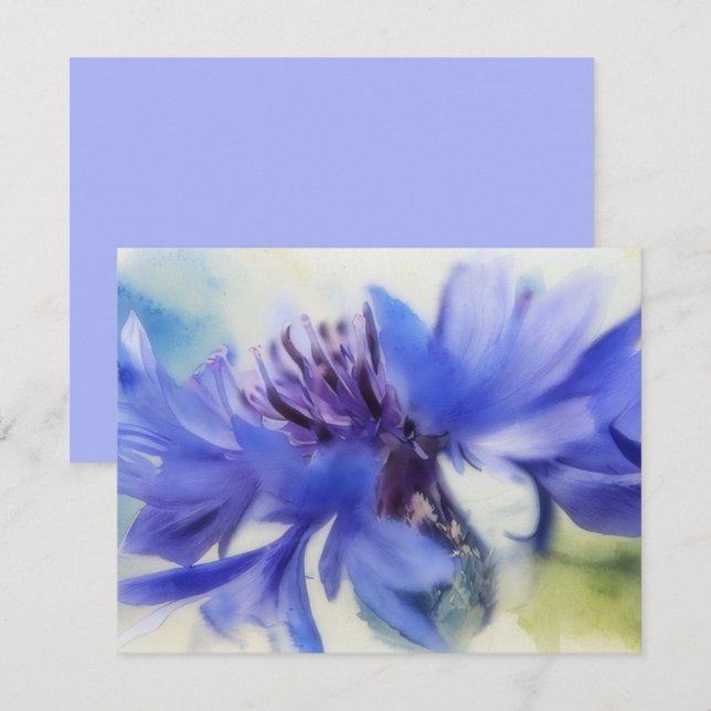 Juego de Tarjetas de Notas del Centaurea Azul (Anverso / Reverso)