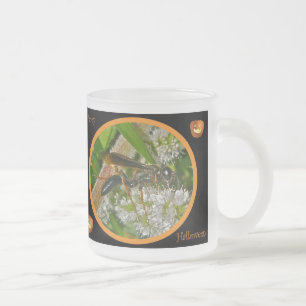 Juego de variedades de tazas de vidrio Wasp de Hal