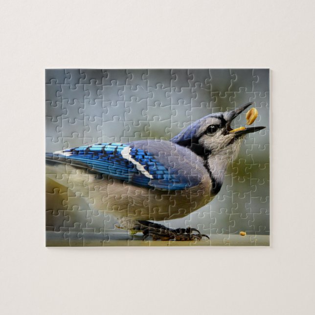 Juego Puzzle Blue Jay (Horizontal)