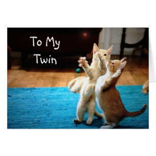 JUEGOS KITTENS *FELIZ CUMPLEAÑOS"