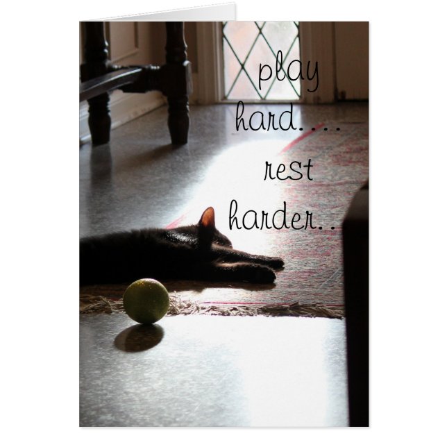 juegue difícilmente… un gatito más duro el dormir (Frente)