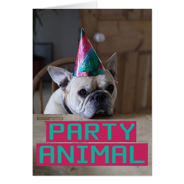 ¡Juerguista! (Frente)