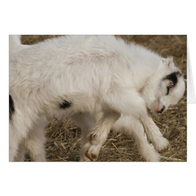 Jugadores Amigo (Anverso (Horizontal))