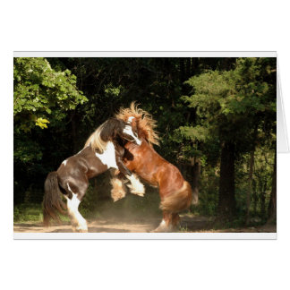 Jugando al atardecer