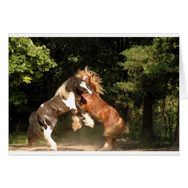 Jugando al atardecer (Anverso (Horizontal))