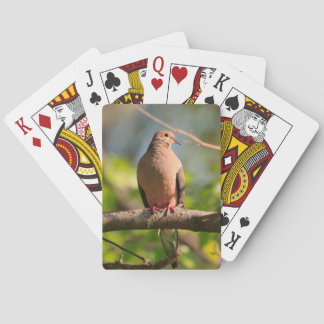 Jugando cartas con la foto de Dove de luto