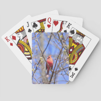 Jugando cartas con la foto del cardenal norte