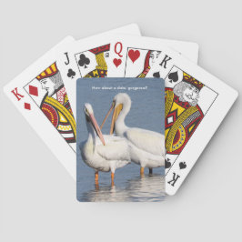 Jugando cartas con pelícanos blancos