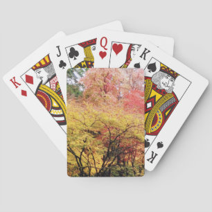 Jugando cartas en colores de caída