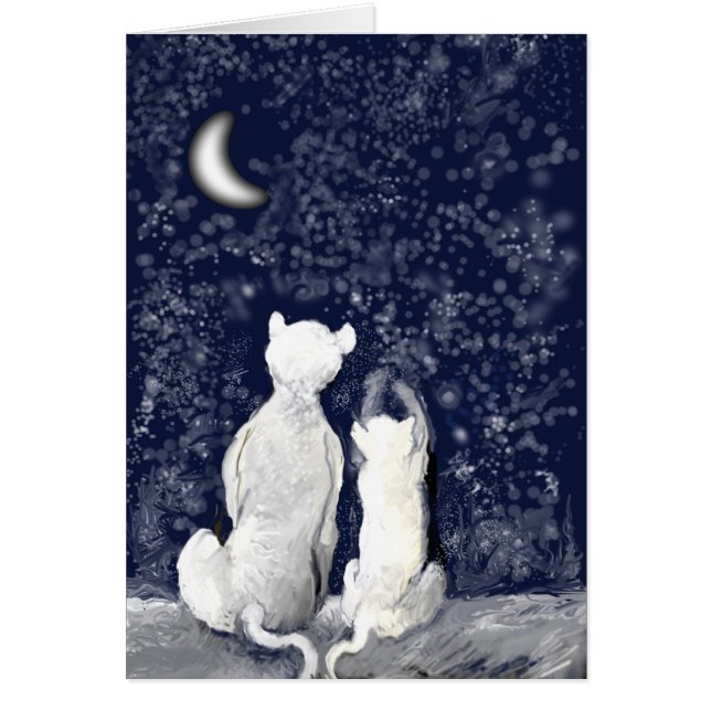 "Jugando con estrellas" (Frente)