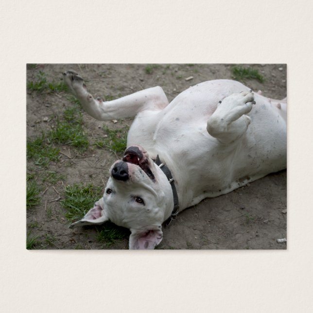 Jugando Dogo Argentino (Frente)