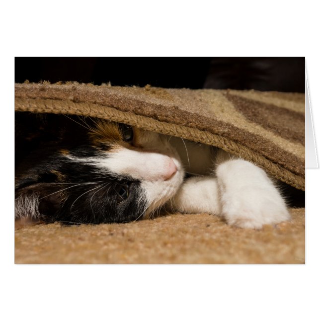 Jugar bajo la alfombra (Anverso (Horizontal))