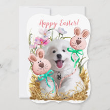 Jugos de Spitz y de pan de jengibre japoneses