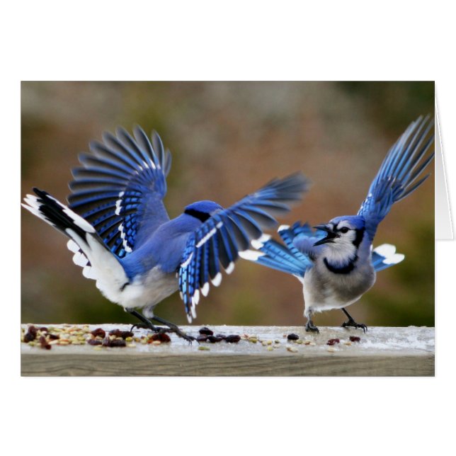 Juguetes azules en cuclillas durante el almuerzo (Anverso (Horizontal))