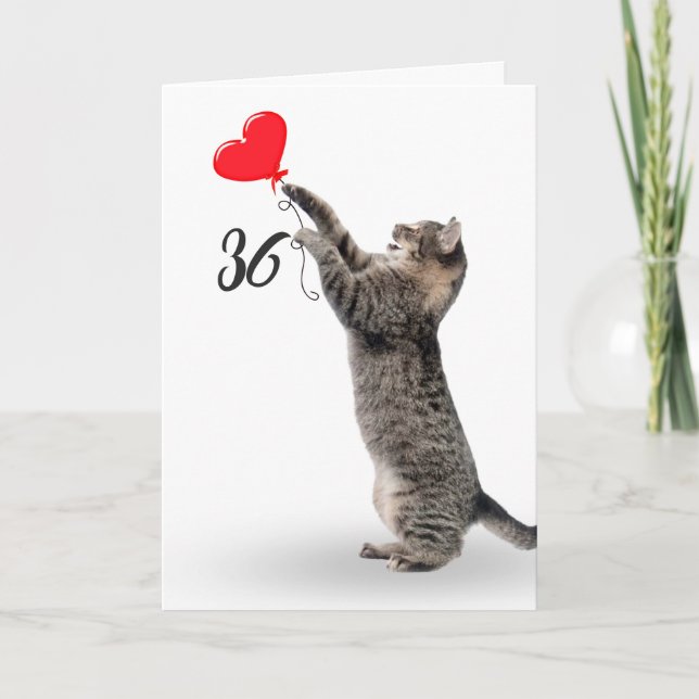 juguetón gato de tabby para tarjeta de cumpleaños  (Anverso)