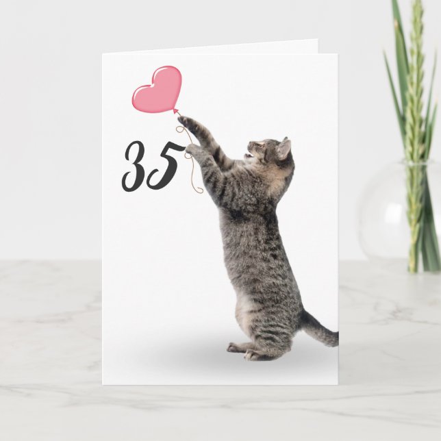 juguetón tabby cat para la tarjeta de cumpleaños 3 (Anverso)