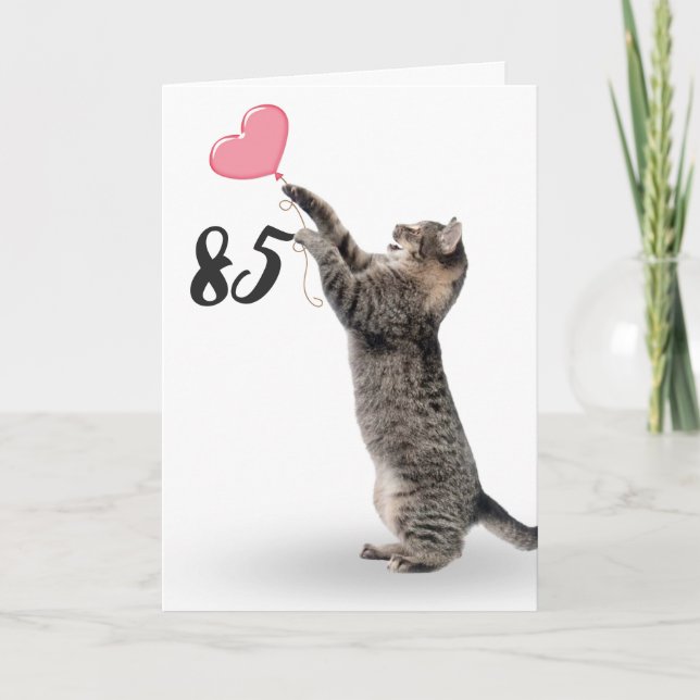 juguetón tabby cat para la tarjeta de cumpleaños 8 (Anverso)